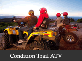 Atv condition